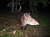 IMG_6534.JPG