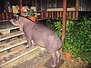 IMG_6545.JPG