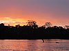 IMG_6554.JPG