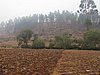 IMG_6586.JPG