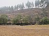 IMG_6588.JPG