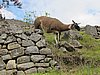 IMG_6602.JPG