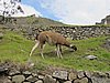 IMG_6604.JPG
