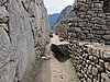 IMG_6611.JPG
