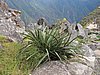 IMG_6630.JPG