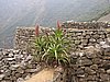 IMG_6651.JPG