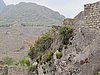 IMG_6653.JPG