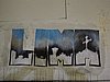 IMG_6747.JPG