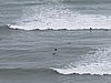 IMG_6783.JPG