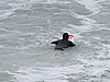 IMG_6791.JPG