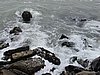 IMG_6806.JPG