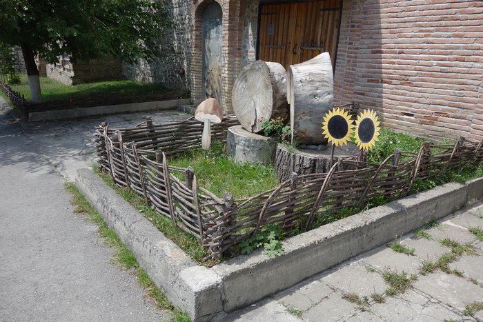 DSC00374.JPG