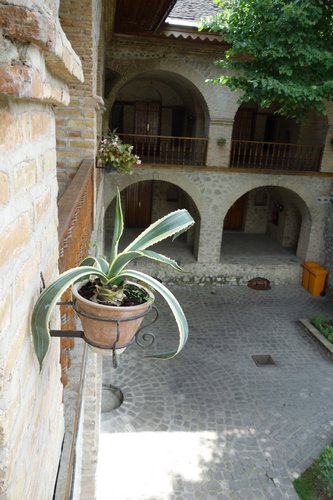 DSC00378.JPG