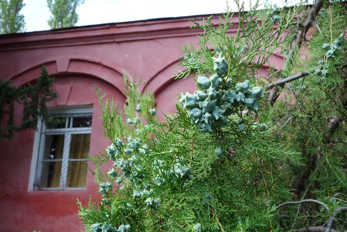 DSC00417.JPG