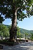 DSC00400.JPG