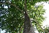 DSC00407.JPG