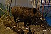DSC00410.JPG