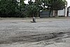 DSC00448.JPG