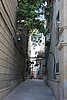 DSC00455.JPG