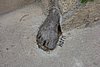 DSC00488.JPG