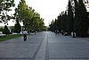 DSC00583.JPG