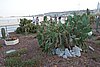 DSC00586.JPG
