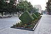 DSC00594.JPG