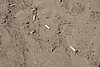 DSC00632.JPG