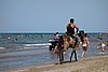 DSC00635.JPG