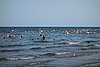 DSC00643.JPG