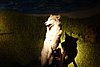 DSC00646.JPG