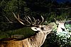 DSC00647.JPG
