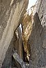 DSC00665.JPG