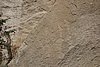 DSC00669.JPG