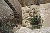 DSC00670.JPG