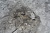 DSC00685.JPG