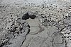 DSC00687.JPG