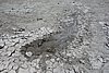DSC00693.JPG