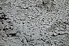 DSC00712.JPG