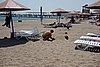 DSC00730.JPG