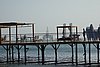DSC00737.JPG