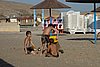 DSC00738.JPG