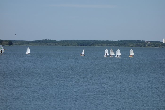 DSC01481.JPG