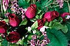 DSC01350.JPG