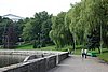 DSC01360.JPG