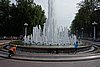 DSC01363.JPG
