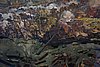 DSC01448.JPG