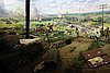 DSC01460.JPG