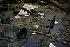 DSC01467.JPG