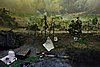 DSC01468.JPG